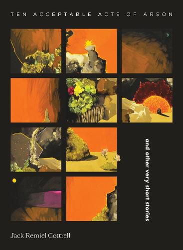 Cover image for Ten Acceptable Acts of Arson: and other very short stories