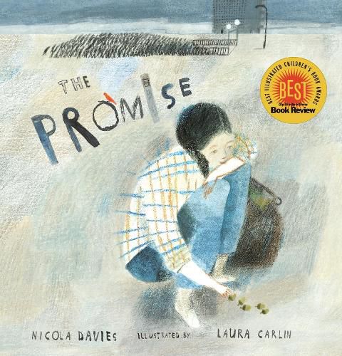 Cover image for The Promise