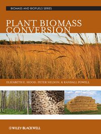 Cover image for Plant Biomass Conversion