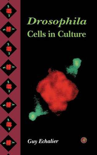 Cover image for Drosophila Cells in Culture