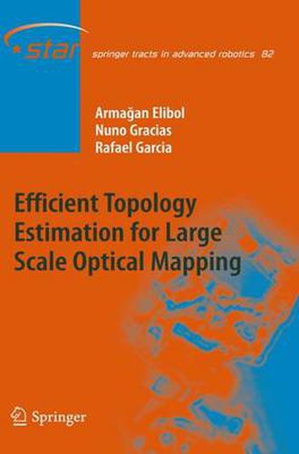 Cover image for Efficient Topology Estimation for Large Scale Optical Mapping