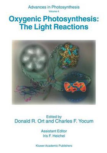 Cover image for Oxygenic Photosynthesis: The Light Reactions