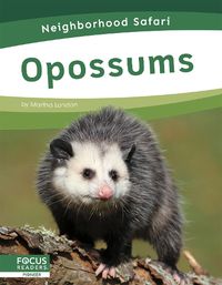 Cover image for Neighborhood Safari: Opossums