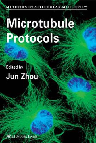 Cover image for Microtubule Protocols