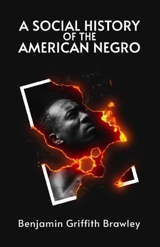 Cover image for A Social History of the American Negro