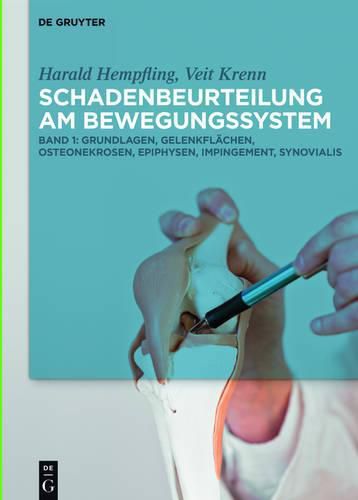 Cover image for Grundlagen, Gelenkflachen, Osteonekrosen, Epiphysen, Impingement, Synovialis