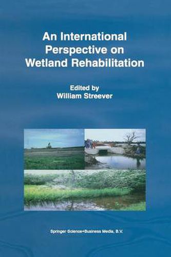 Cover image for An International Perspective on Wetland Rehabilitation