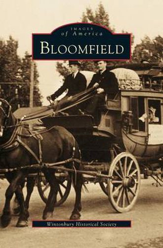 Cover image for Bloomfield