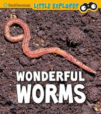 Cover image for Wonderful Worms