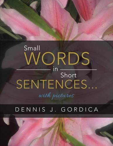 Cover image for Small Words in Short Sentences...with Pictures