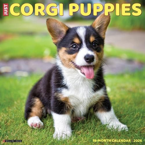 Cover image for Corgi Puppies 2026 12 X 12 Wall Calendar