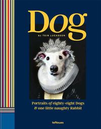 Cover image for Dog: Portraits of Eighty-Eight Dogs and One Little Naughty Rabbit