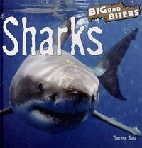 Cover image for Sharks