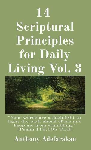 Cover image for 14 Scriptural Principles for Daily Living Vol. 3: Your words are a flashlight to light the path ahead of me and keep me from stumbling.  [Psalm 119:105 TLB]