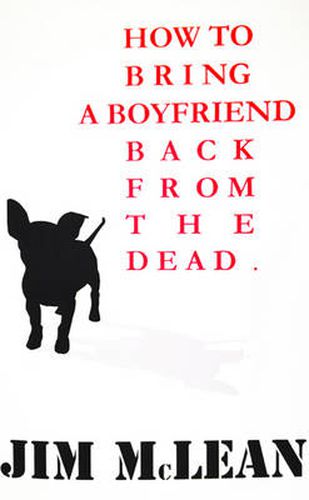 Cover image for How to Bring a Boyfriend Back from the Dead