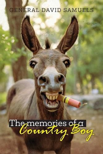 Cover image for The Memories of a Country Boy