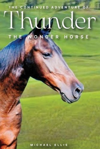 Cover image for The Continued Adventures of Thunder