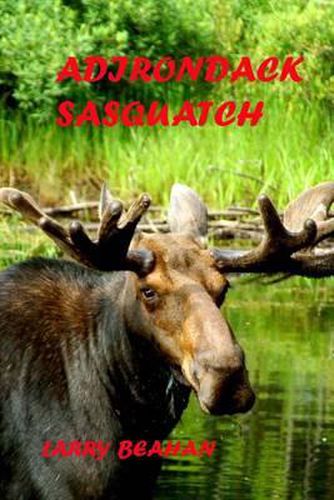 Cover image for Adirondack Sasquatch