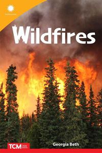 Cover image for Wildfires