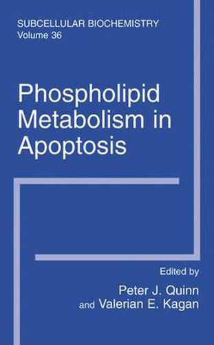 Phospholipid Metabolism in Apoptosis