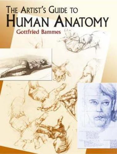 Cover image for The Artist's Guide to Human Anatomy