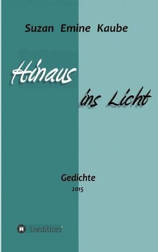 Cover image for Hinaus ins Licht