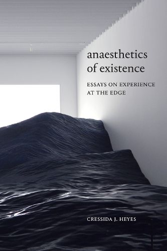 Cover image for Anaesthetics of Existence: Essays on Experience at the Edge