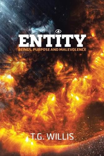 Cover image for Entity: Beings, Purpose and Malevolence