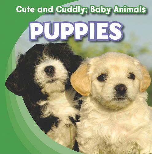 Cover image for Puppies