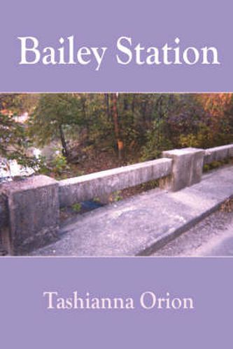 Cover image for Bailey Station