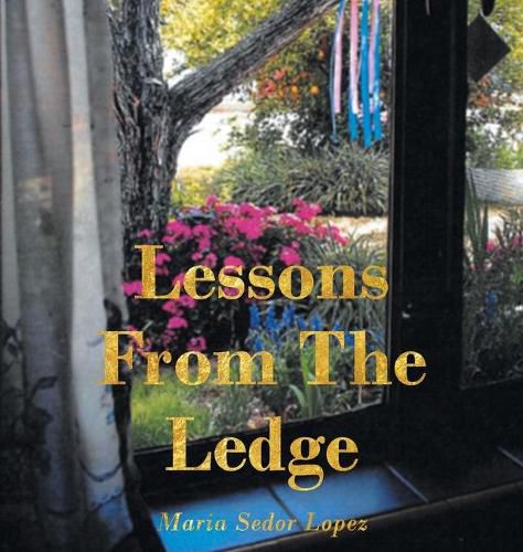 Cover image for Lessons from the Ledge