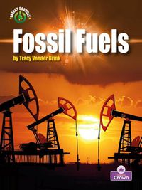 Cover image for Fossil Fuels