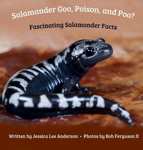 Cover image for Salamander Goo, Poison, and Poo? Fascinating Salamander Facts