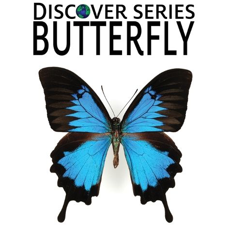 Cover image for Butterfly