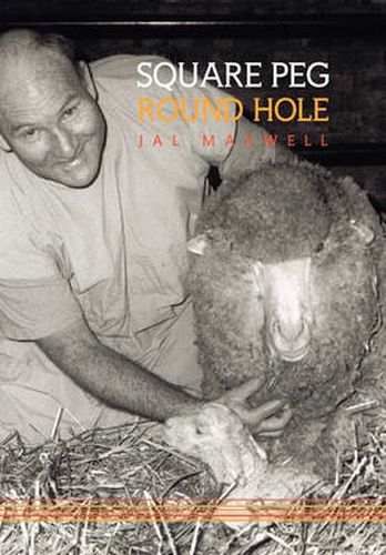 Cover image for Square Peg - Round Hole