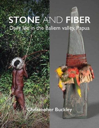 Cover image for Stone and Fiber