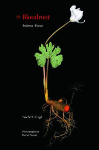 Cover image for Bloodroot: Indiana Poems