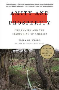 Cover image for Amity and Prosperity