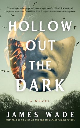 Cover image for Hollow Out the Dark