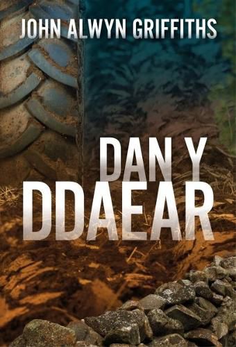 Cover image for Dan y Ddaear