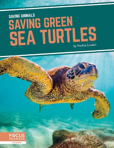 Cover image for Saving Animals: Saving Green Sea Turtles