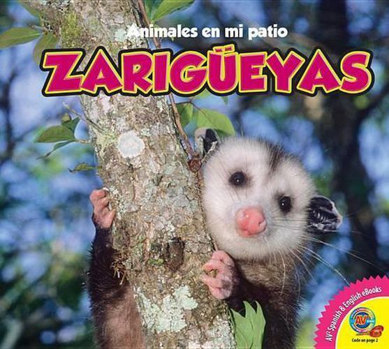 Cover image for Zarigueyas, With Code