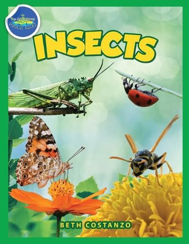 Cover image for Bugs in My Backyard for Kids: Storybook, Insect Facts, and Activities (Let's Learn About Bugs and Animals)