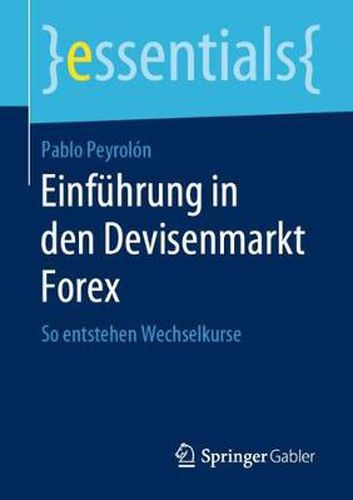 Cover image for Einfuhrung in den Devisenmarkt Forex: So entstehen Wechselkurse