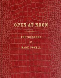 Cover image for Open at Noon: Mark Alor Powell