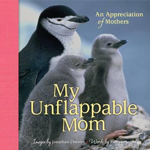 Cover image for My Unflappable Mom: An Appreciation of Mothersvolume 4