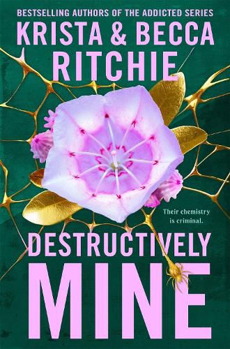 Cover image for Destructively Mine