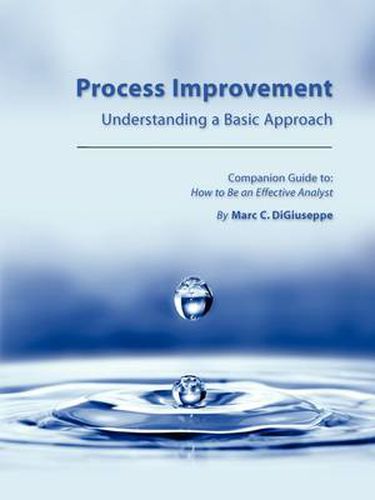 Cover image for Process Improvement: Understanding a Basic Approach - Companion Guidebook to How to Be an Effective Analyst