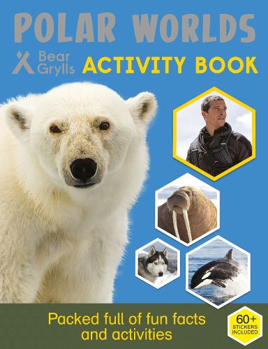 Cover image for Bear Grylls Sticker Activity: Polar Worlds