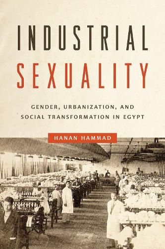 Cover image for Industrial Sexuality: Gender, Urbanization, and Social Transformation in Egypt